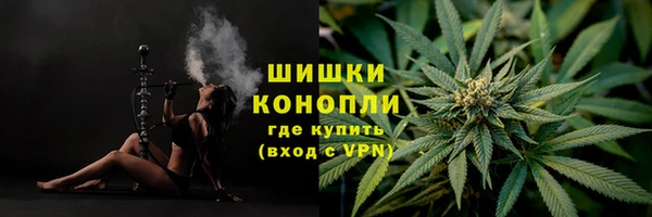стафф Беломорск
