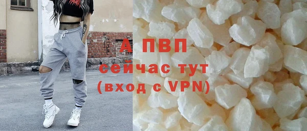 стаф Белоозёрский